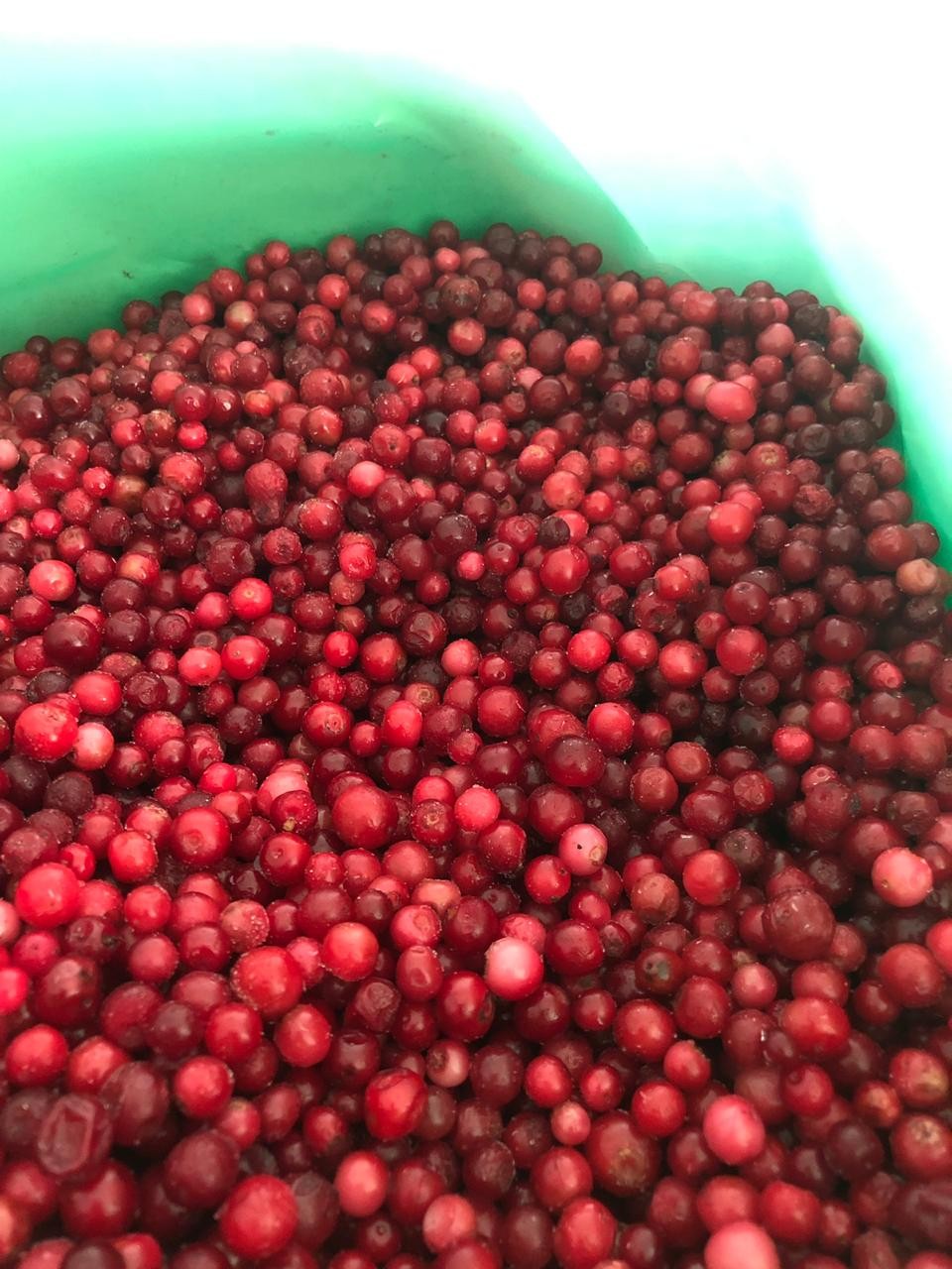 Borówka czerwona (brusznica). Certyfikat Organiczna klasa A. Mrożone. — zdjęcie 2