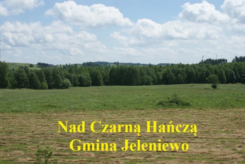 (2) Gospodarstwo nad rzeką Czarną Hańczą — zdjęcie 5