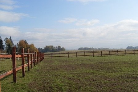 pensjonat dla koni przydomowa stajnia — zdjęcie 1