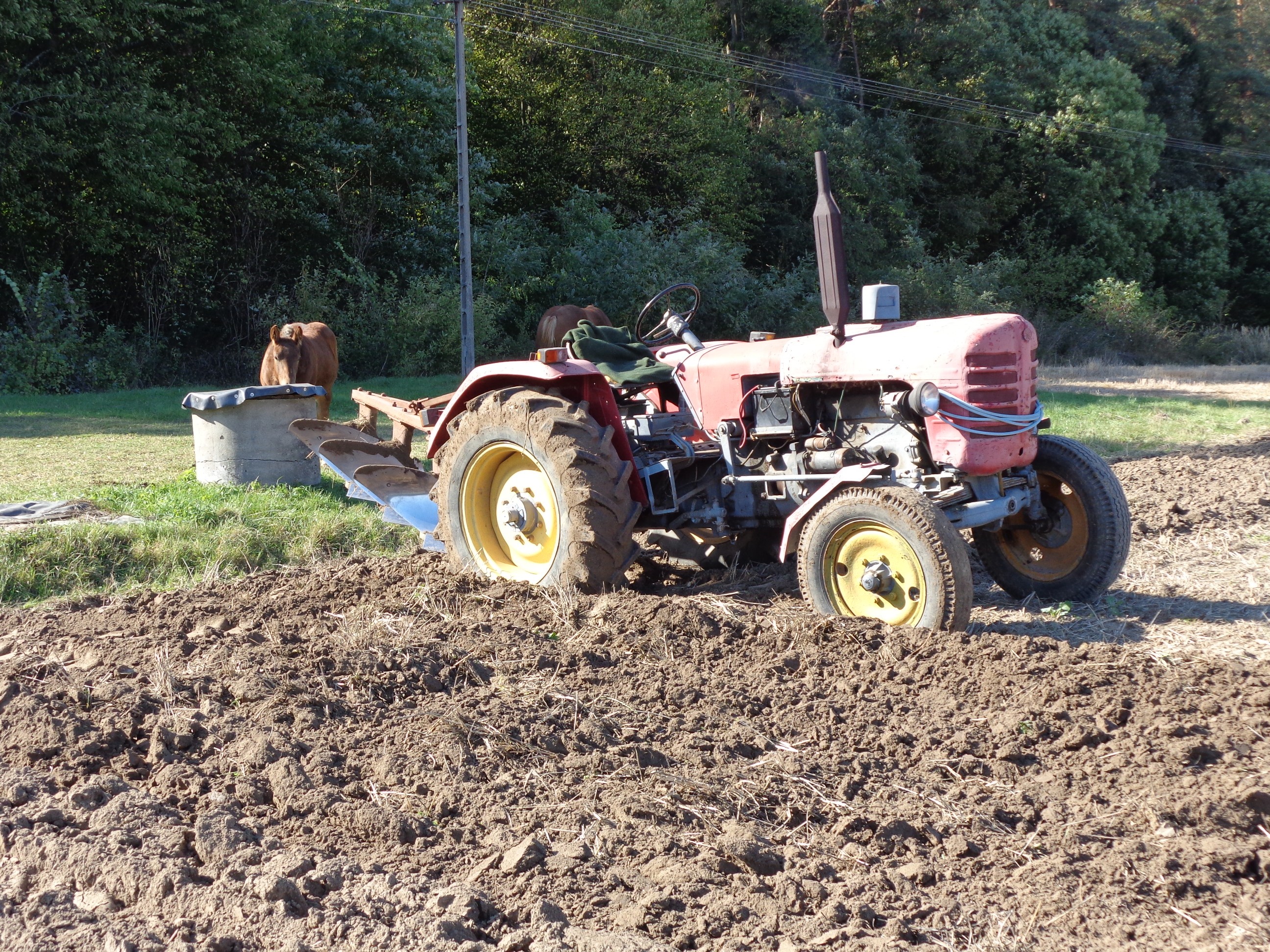 Ciągnik rolniczy Zetor Super 50 — zdjęcie 2