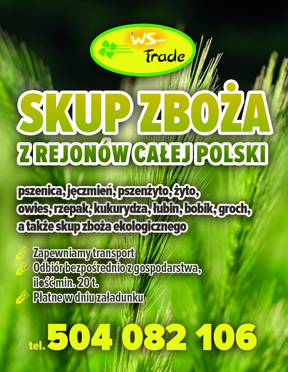 Kupię rzepak 