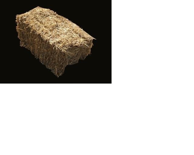 KUPIMY!!!ZAKONTRAKTUJEMY!!!