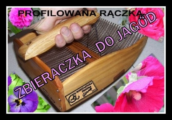 ZBIERACZKA MASZYNKA DO ZBIORU JAGÓD I BORÓWEK — zdjęcie 2