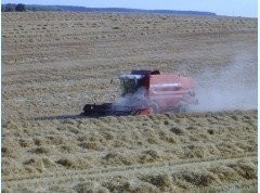 Sprzedam kombajn zbożowy Massey Ferguson 38 — zdjęcie 2
