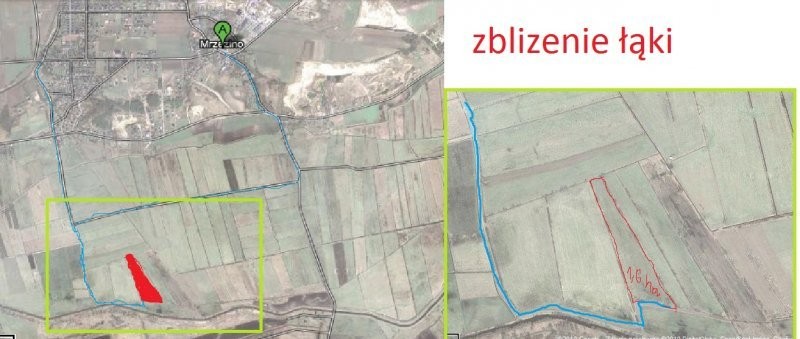 Sprzedam łąkę ok 1km od Mrzezina
