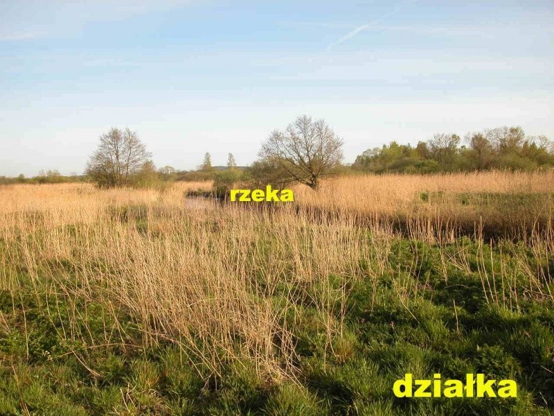 oddam ziemie w dzierzawe 14 ha — zdjęcie 2