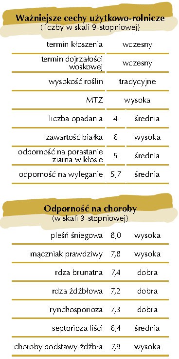 Kwalifikowane nas. siewne żyto Dańkowskie Rubin C1 — zdjęcie 1