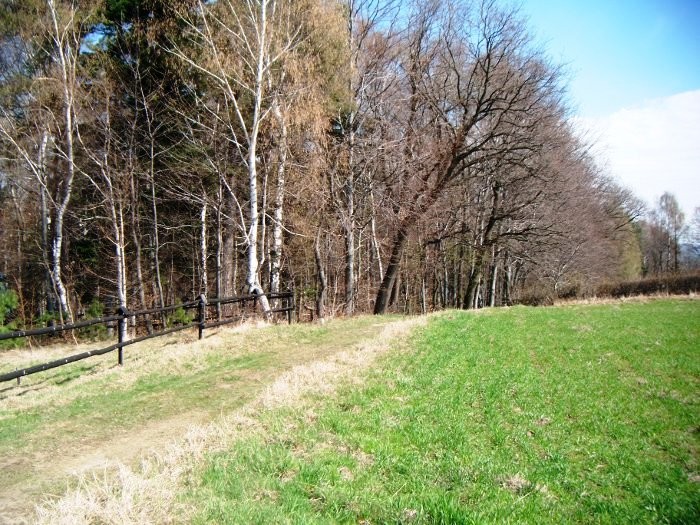 Działka budowlano-rolna 29 km od Krakowa z widokiem na góry — zdjęcie 4