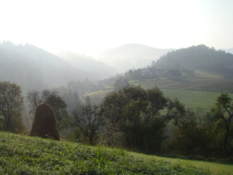 Gospodarstwo rolne Stary Sącz