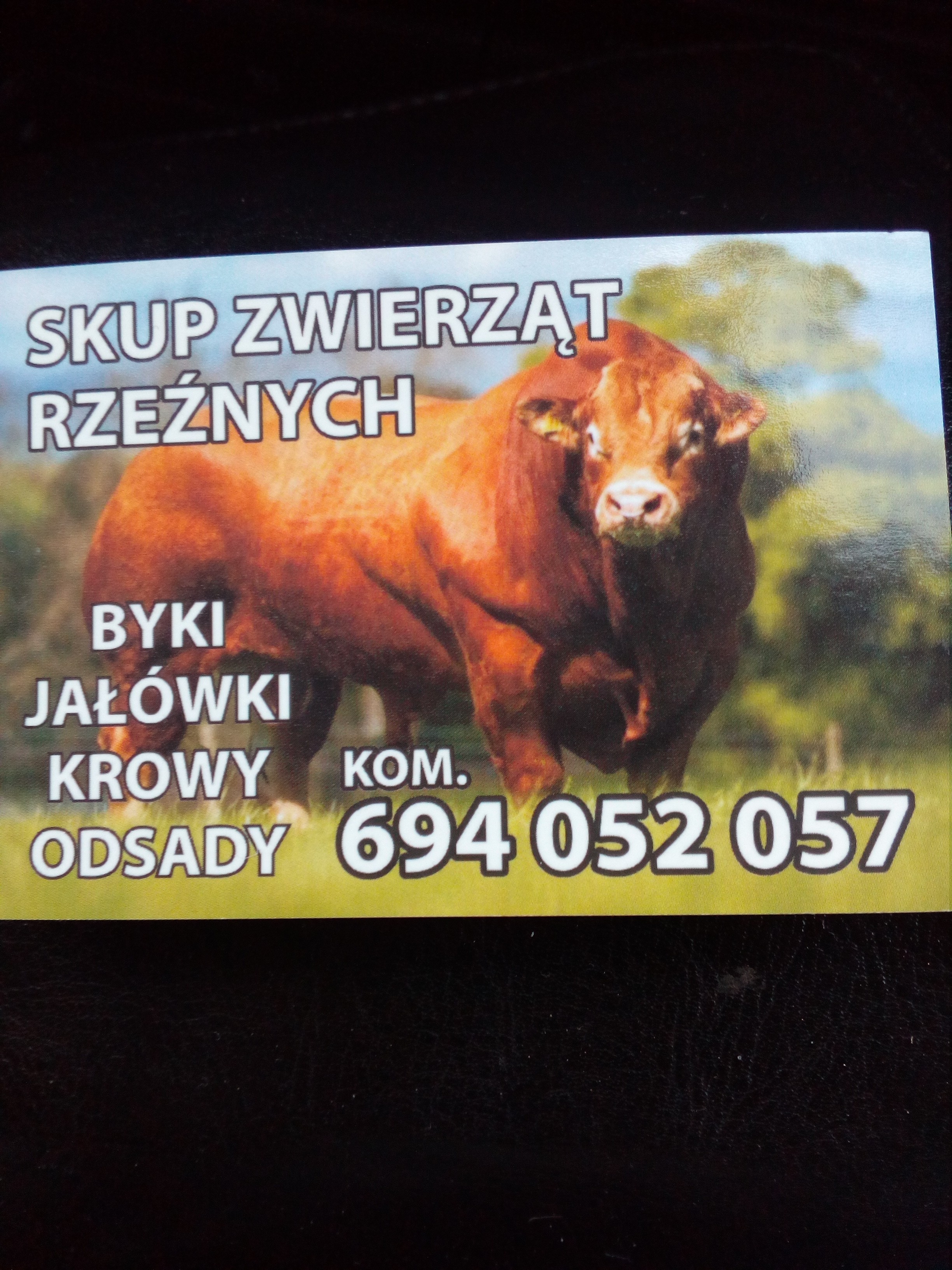 Skup bydla rzeznego 