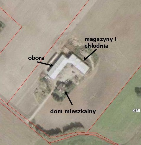 Gospodarstwo rolne 47,5ha Blizienko — zdjęcie 3