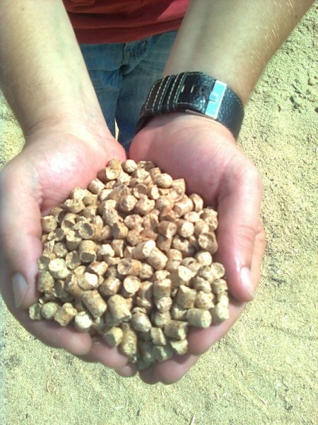Pellet, brykiet - bezp. importer ze Wschodu — zdjęcie 1