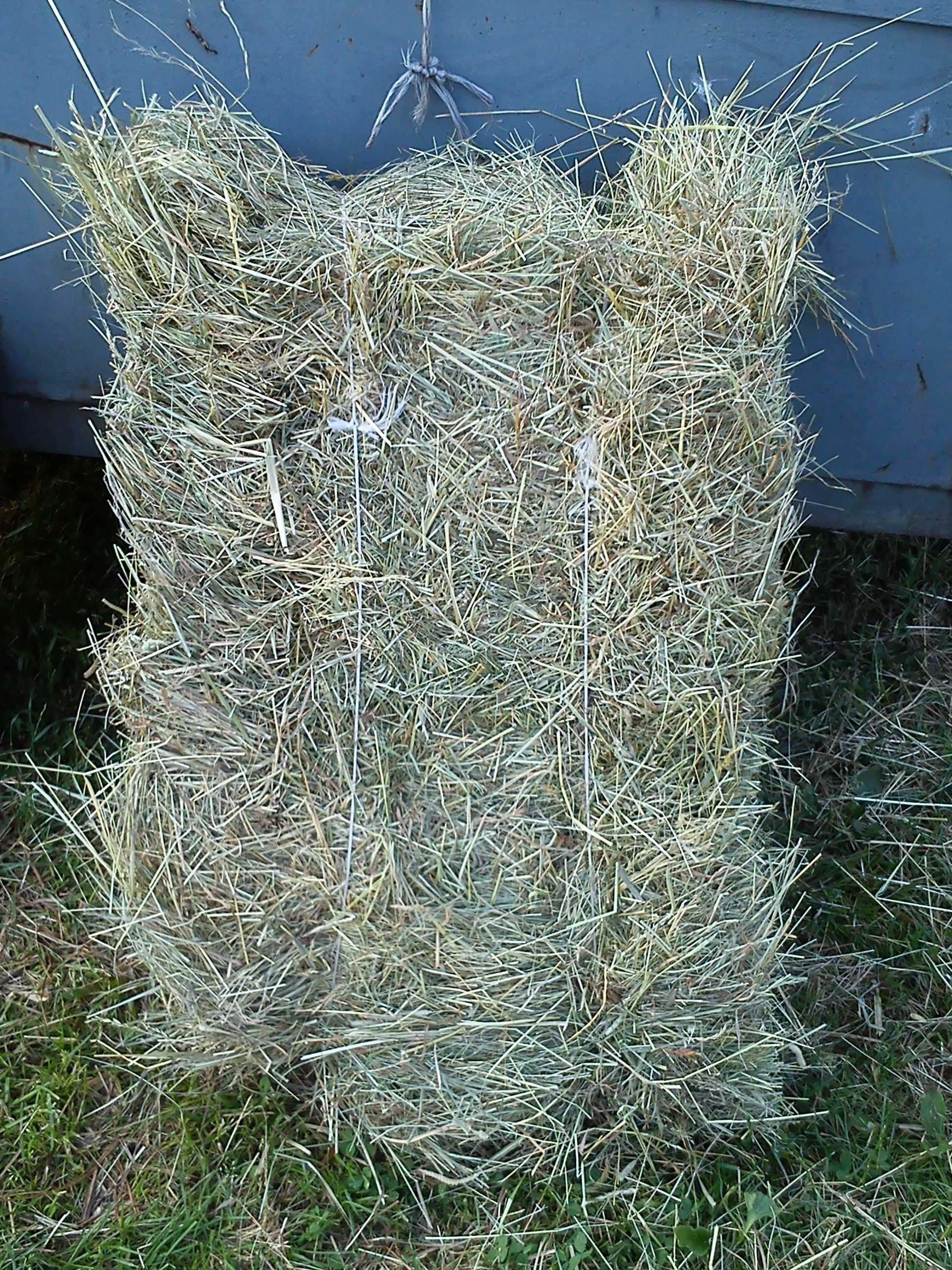 Siano 2014 słoma, żyto, pszenżyto — zdjęcie 1