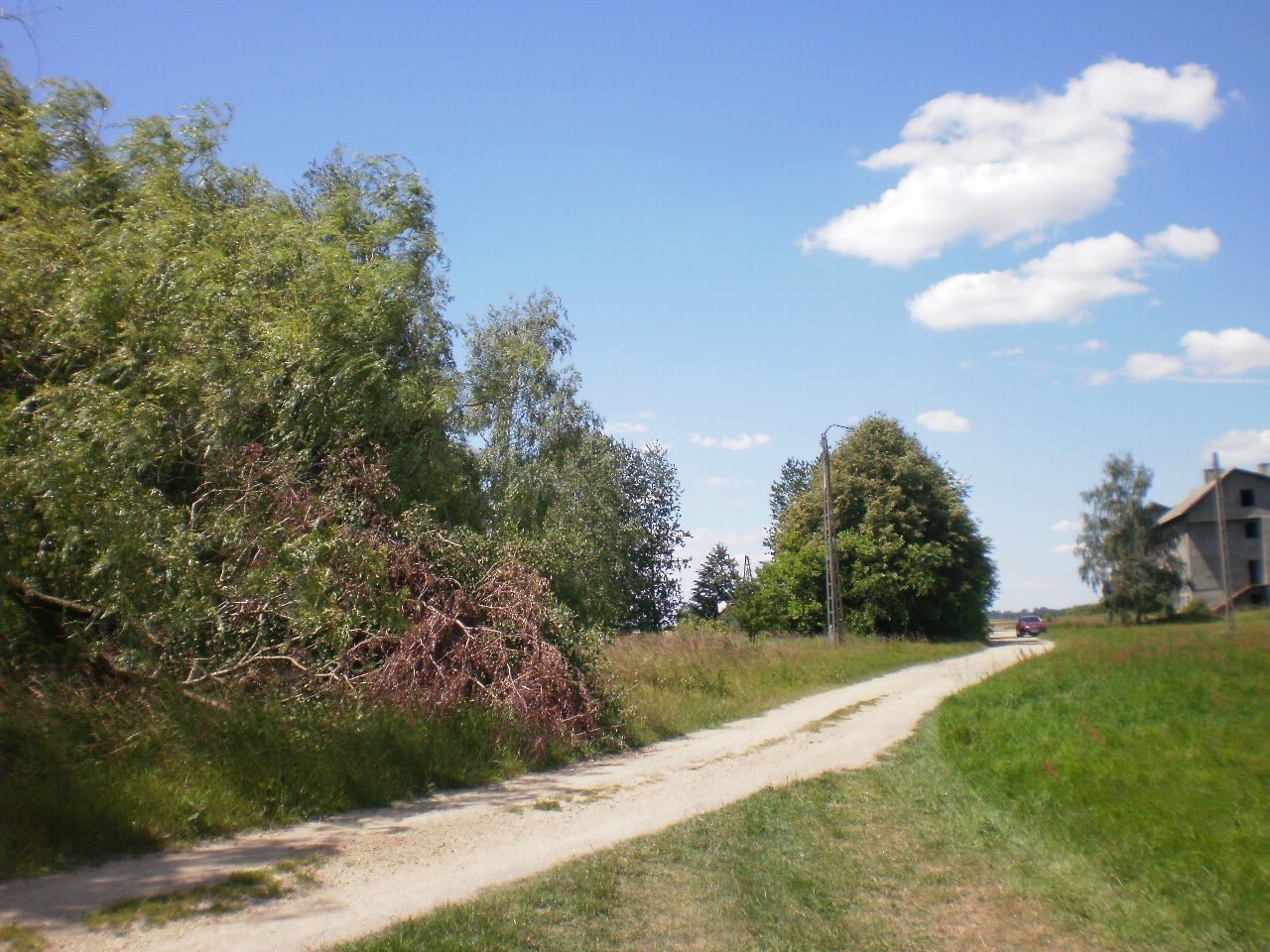 ŻARNOWIEC ŚLĄSKI sprzedam 11 ha — zdjęcie 5