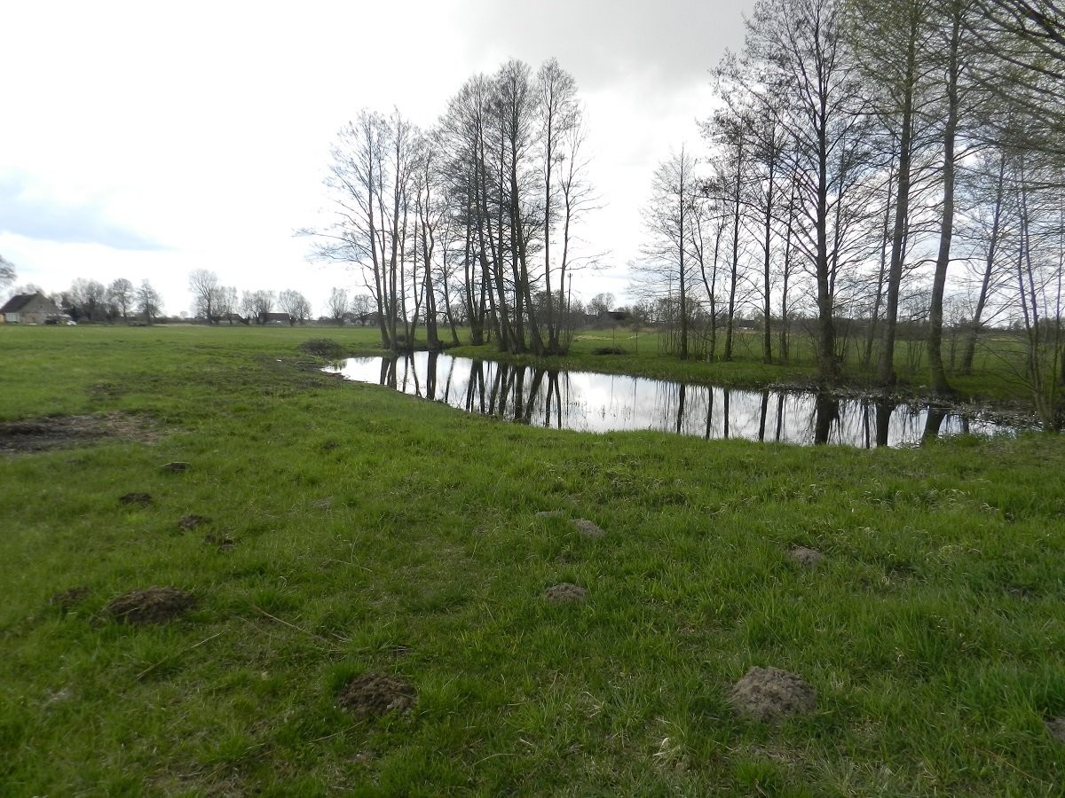 Działka siedliskowa, Wieprzyce — zdjęcie 1