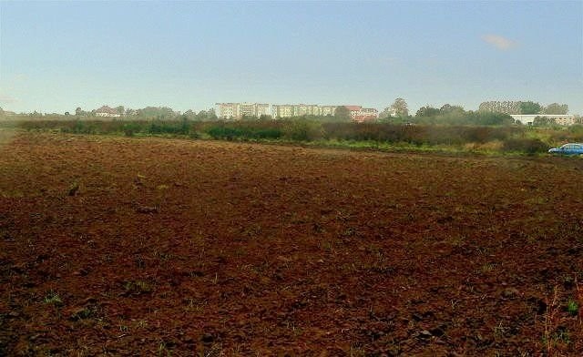 Koszalin - 2,5 ha — zdjęcie 2