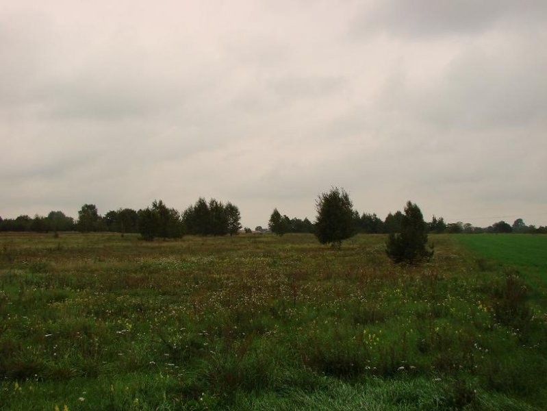 DZIAŁKA rekreacyjno-rolną 2,02 ha nad Wkrą — zdjęcie 1