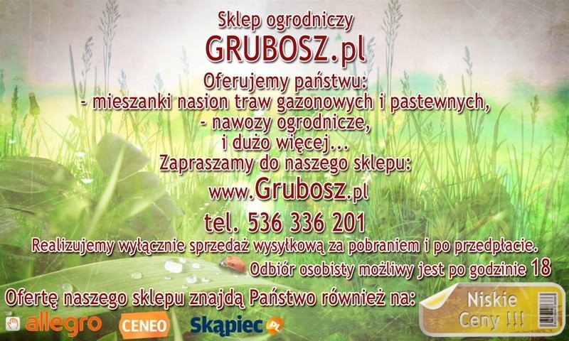 Mieszanki traw pastewnych - Sprzedam — zdjęcie 1
