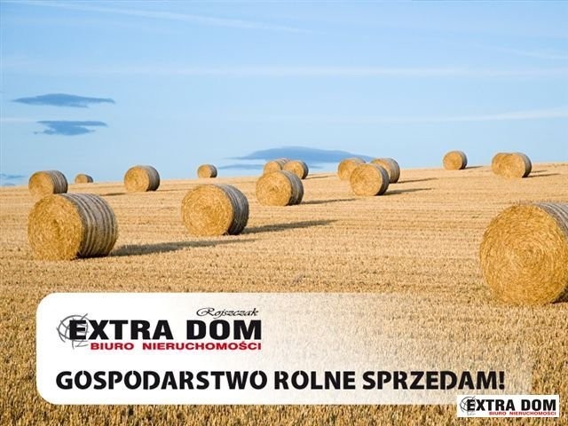 1 200 ha - dobra klasa ziemi!