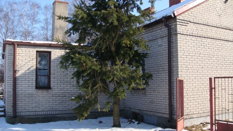 Gospodarstwo rolne 4,5ha — zdjęcie 4