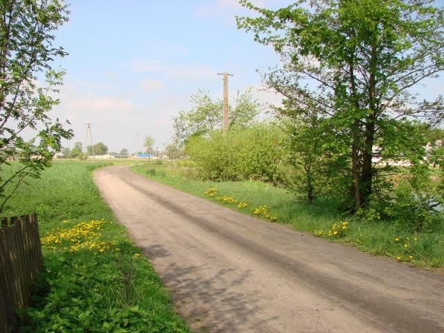 BEZPOŚREDNIO GUTKOWO SIEDLISKOWA 5000m2 — zdjęcie 2