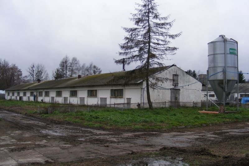 gospodarstwo rolne na mazurach 20ha sprzedam — zdjęcie 2