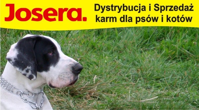 JOSERA Sprzedaż hurtowa i detaliczna karm dla psów — zdjęcie 2