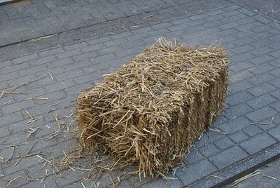 Sprzedam słomę. Duża ilość. Okolice Krakowa.