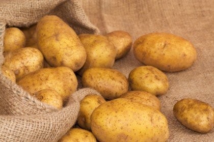 ZIEMNIAKI z Własnego Gospodarstwa Rolnego 1000 TON