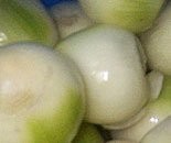 Kupimy cebule obrana