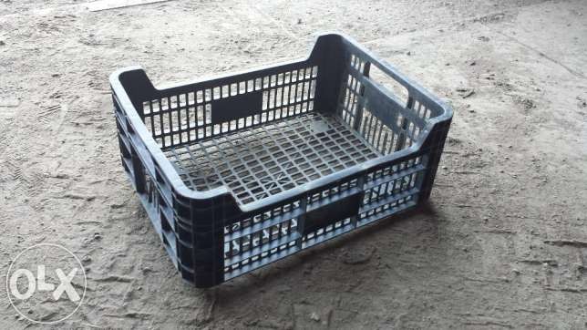 KUPIĘ każdą ilość skrzynek 5kg CASI — zdjęcie 1