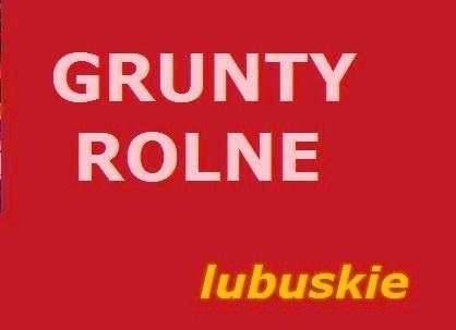  Grunty ( spółki ) od 100 - 500 ha sprzedamy 