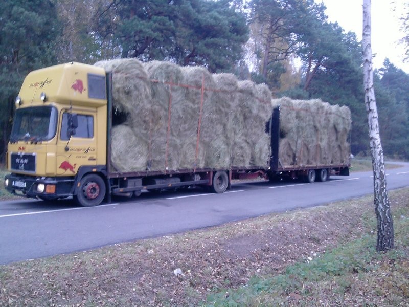 transport bel ( słoma , siano ) — zdjęcie 3