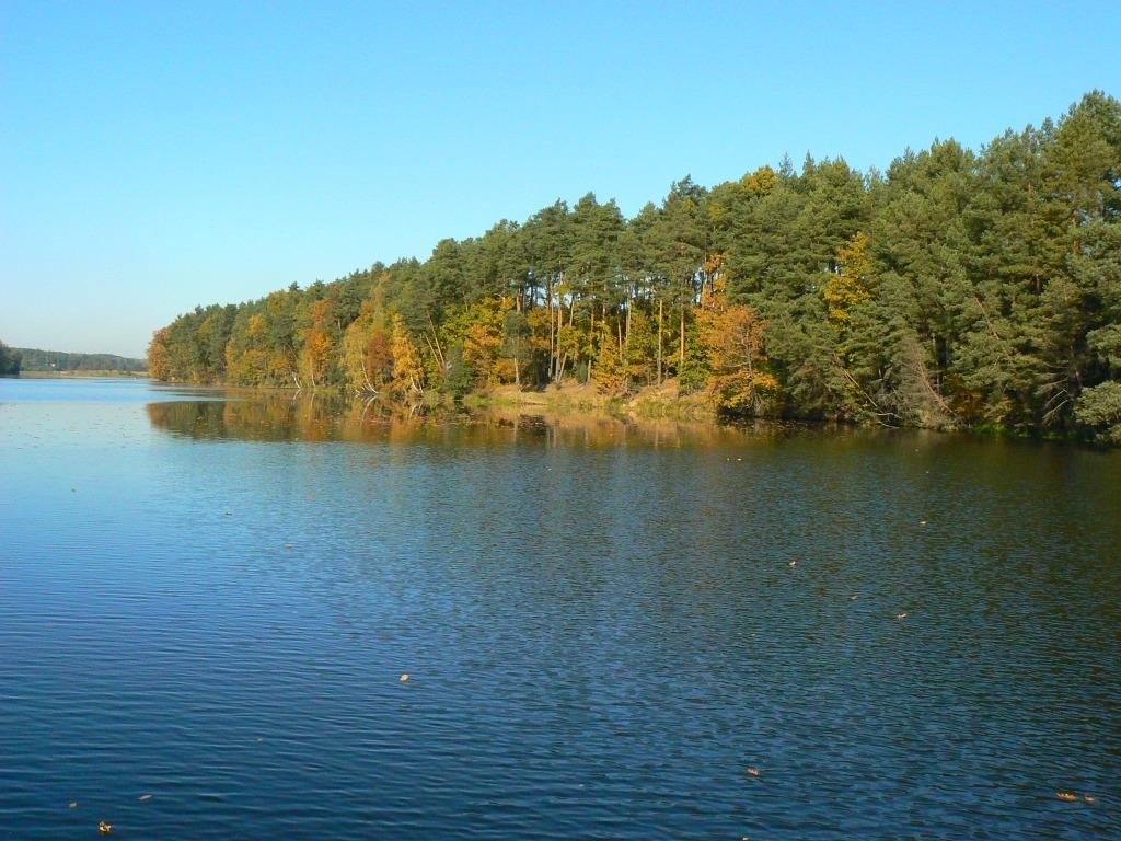 Działka inwestycyjna - 10 ha.