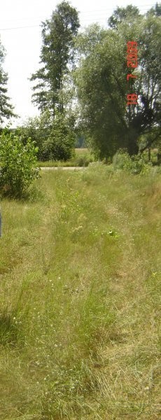 Sprzedam gospodarstwo