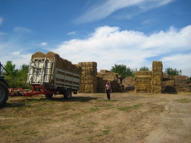 Pellet of straw