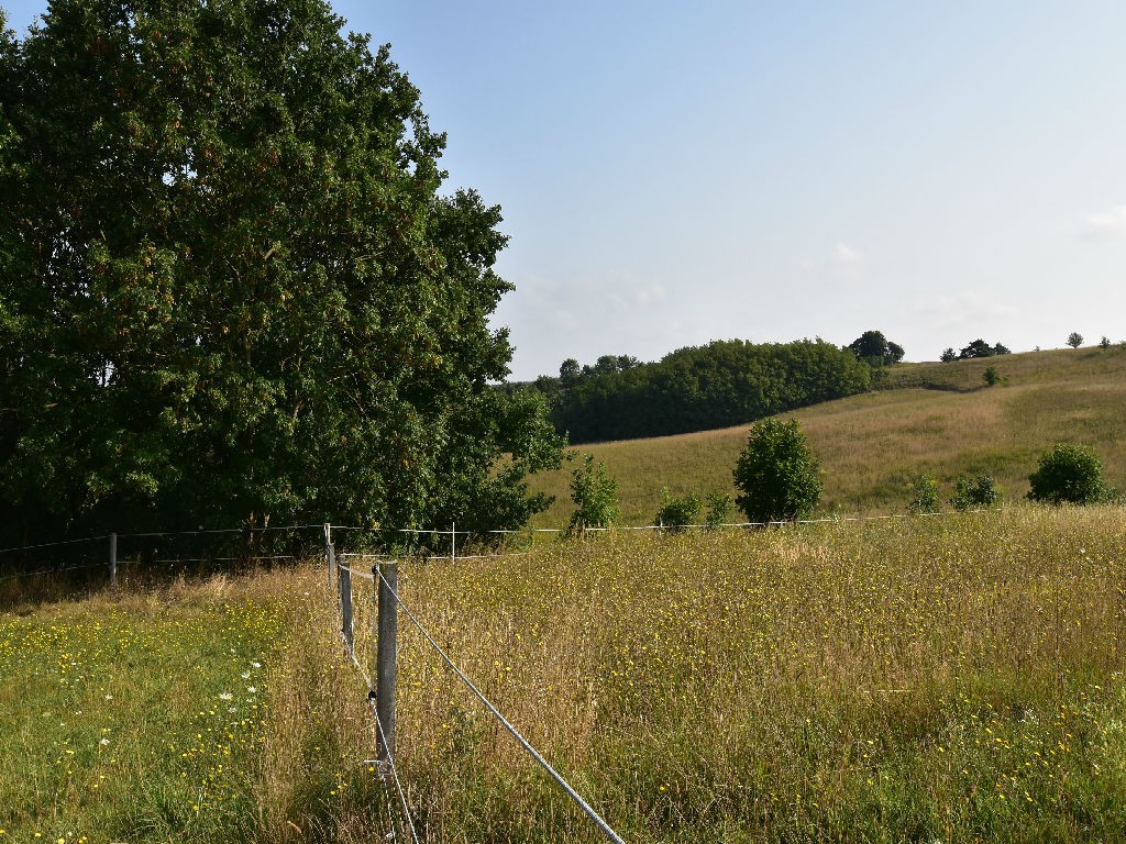 Na Sprzedaż Gospodarstwo Rolne , 507 799 m2 , Szczecin - Czepino  — zdjęcie 4