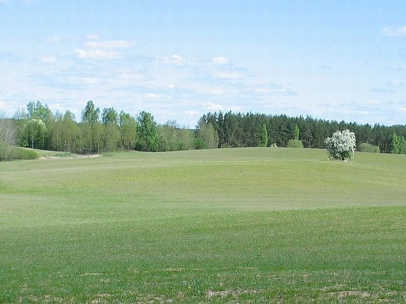 Trawę na siano lub sianokiszonkę — zdjęcie 2