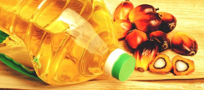 Refined Palm Oil From Malaysia for Sale — zdjęcie 2