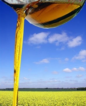 Surowy Olej Rzepakowy , max 30ppm
