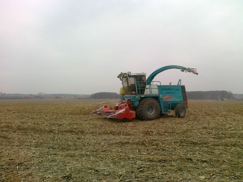 Usługowe koszenie kukurydzy i zielonek — zdjęcie 1