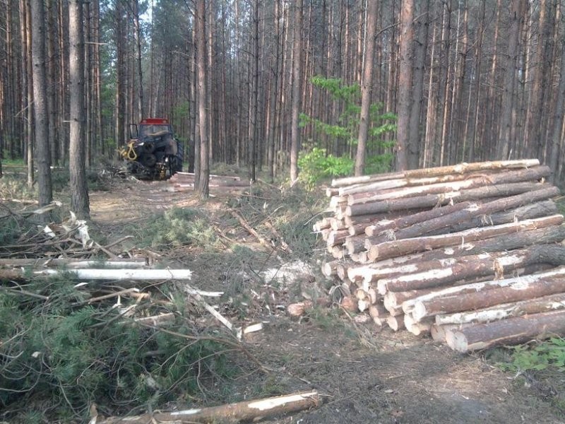 Niab Hypro Vimek harwester valmet timberjack — zdjęcie 3