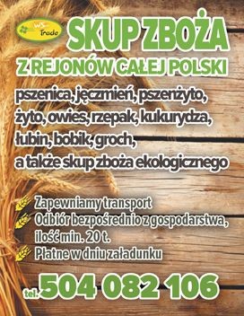 kupię pszenice pszenżyto owies jęczmień zyto 