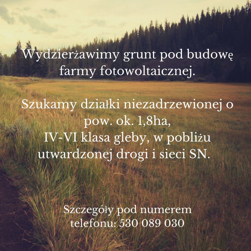 Wydzierżawimy grunt pod budowę farmy fotowoltaicznej