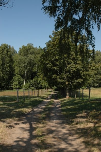 Atrakcyjne Gospodarstwo Rolne — zdjęcie 3