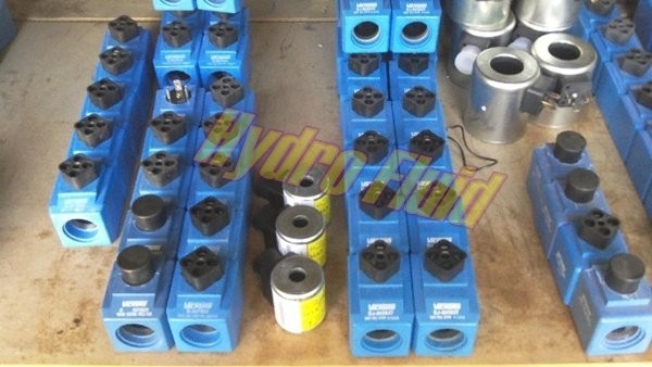cewka: D-507834- 220 V/240V