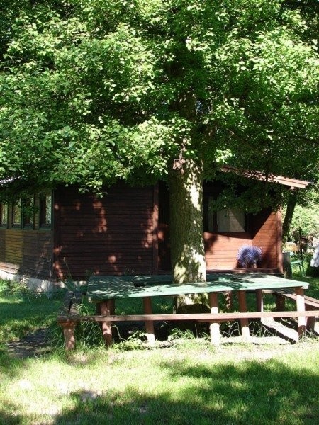 Agroturystyka ,Wakacje wsiodle