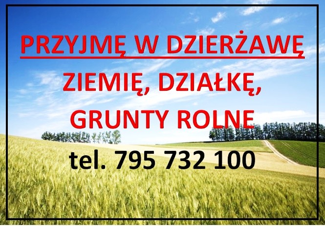 Przyjmę w dzierżawę ziemię rolną