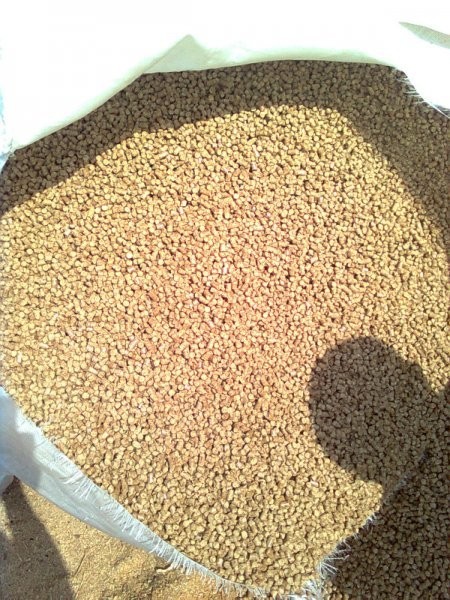 Pellet, brykiet - bezp. importer ze Wschodu — zdjęcie 2