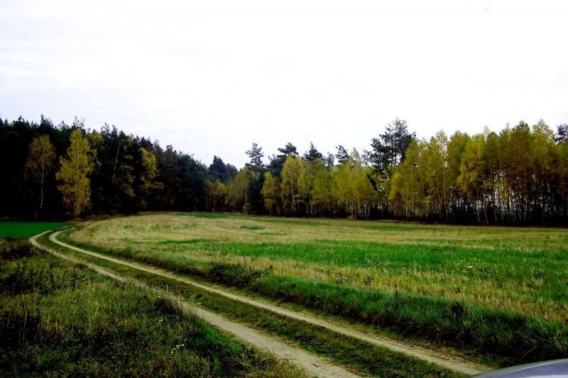 działka z możliwością zabudowy — zdjęcie 3
